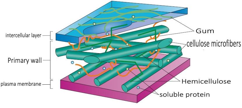 Biomass conversion barrier.jpg