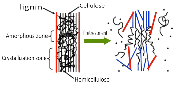 Biomass_conversion_barrier-removebg-preview.png
