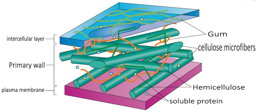 Biomass conversion barrier.png
