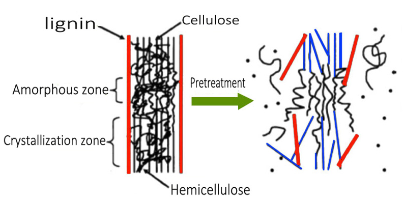 Pretreatment Mechanism.png