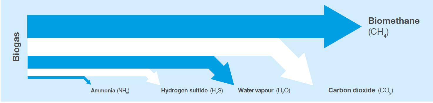 Biogas upgrading process – purification of biomethane.jpg